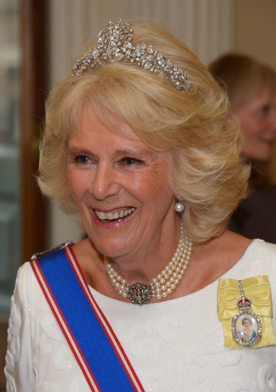 19 Photos of Camilla, Duchess of Cornwall, Sparkling in Diamonds