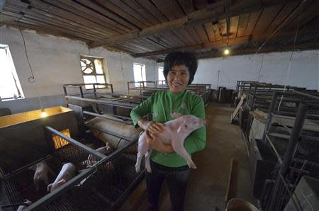 An employee works on the "Armada" farming project run by Dongning Huaxin Group near the far eastern Russian town of Ussuriysk November 13, 2013. REUTERS/Yuri Maltsev