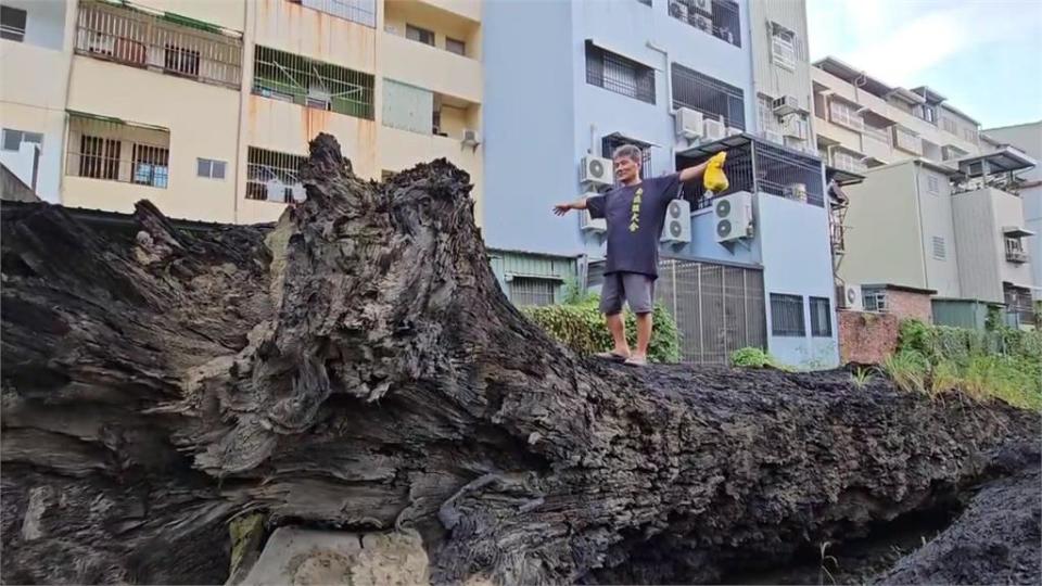 烏木博物館館藏價值近百億！「烏木變黑金」價格驚人　