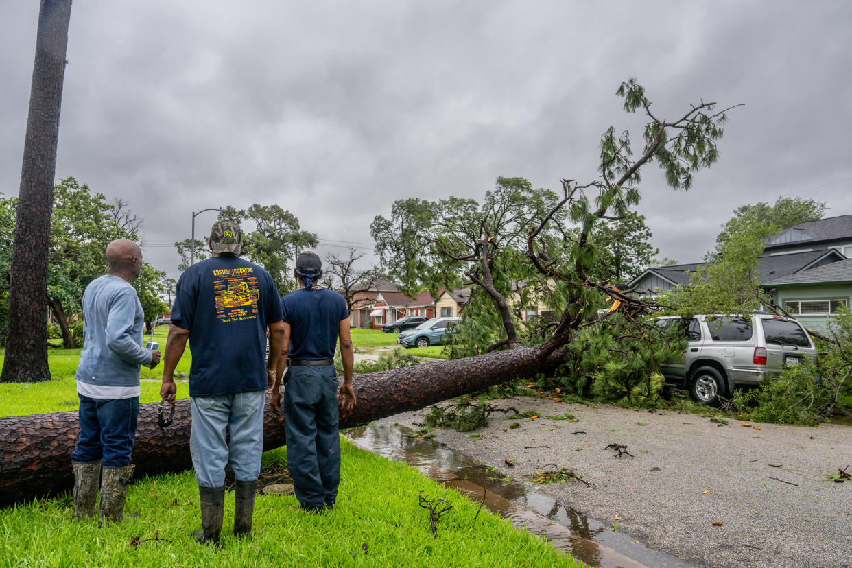 Residents assess a fallen tree in their in their neighborhood after Hurricane Beryl swept through the area on July 08, 2024 in Houston, Texas. (Brandon Bell/Getty Images)