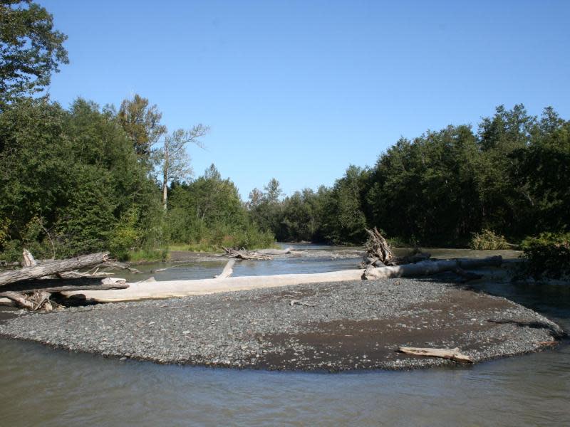 Ursprünglich ist die Natur im Tal zwischen dem Tolbatschik und dem Kamtschatka-Fluss. Foto: Ulf Mauder