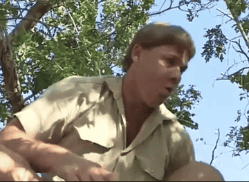 Steve Irwin saying "Danger, danger"