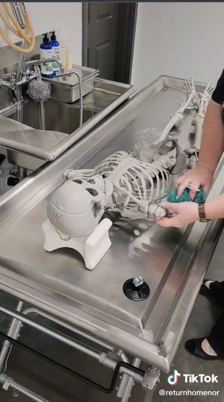Attendants put down a plastic block and then rest the fake skeleton's head on the block