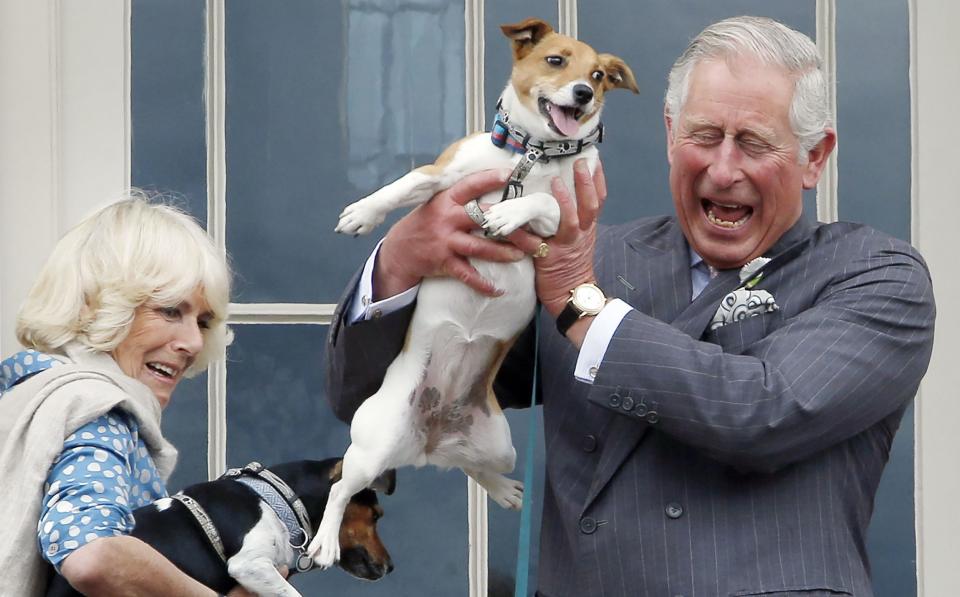 King Charles and Queen Camilla holding Beth and Bluebell, the Queen's terriers