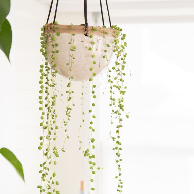 String of pearls