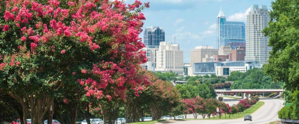 Raleigh skyline with crepe myrtle trees in bloom