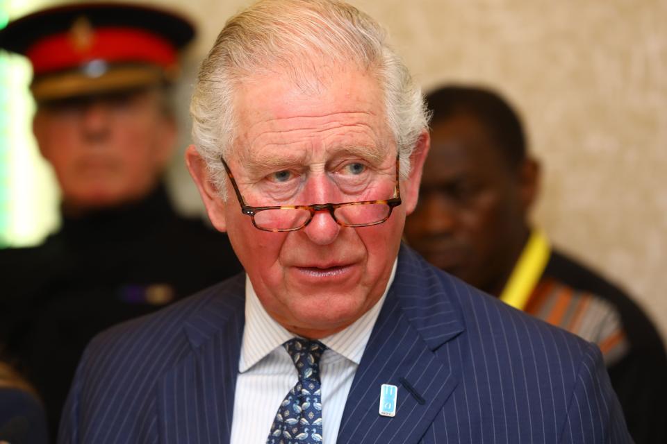 Prince Charles looks shocked representing Kate and Williams choice of country home