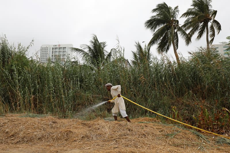 The Wider Image: Pakistanis plant trees to provide relief from scorching sun