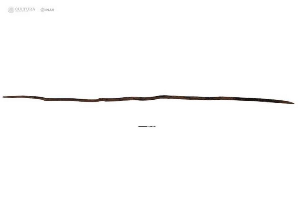 A digging stick, which likely served as a tool for various uses, according to archaeologists.