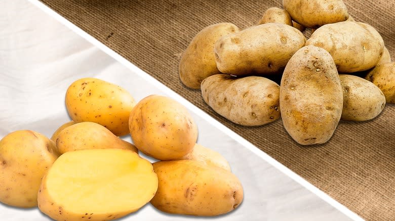 Russet and Yukon Gold potatoes