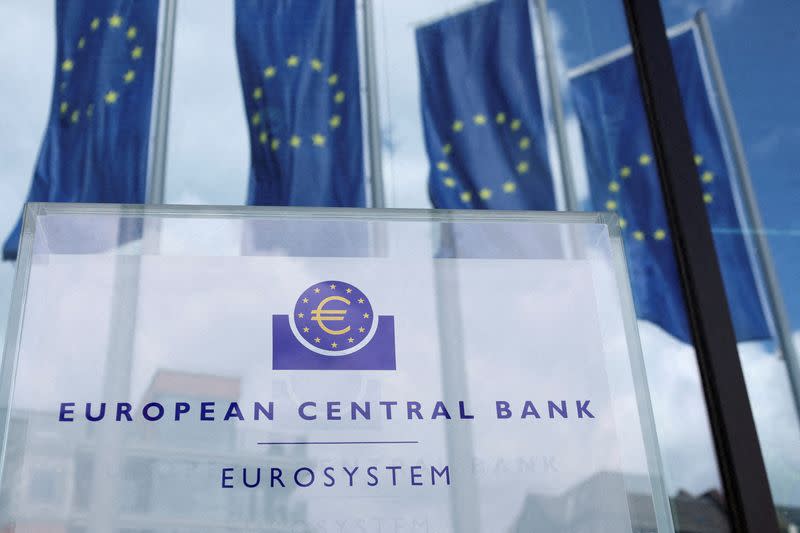 FILE PHOTO: European flags are seen in front of the ECB building, in Frankfurt