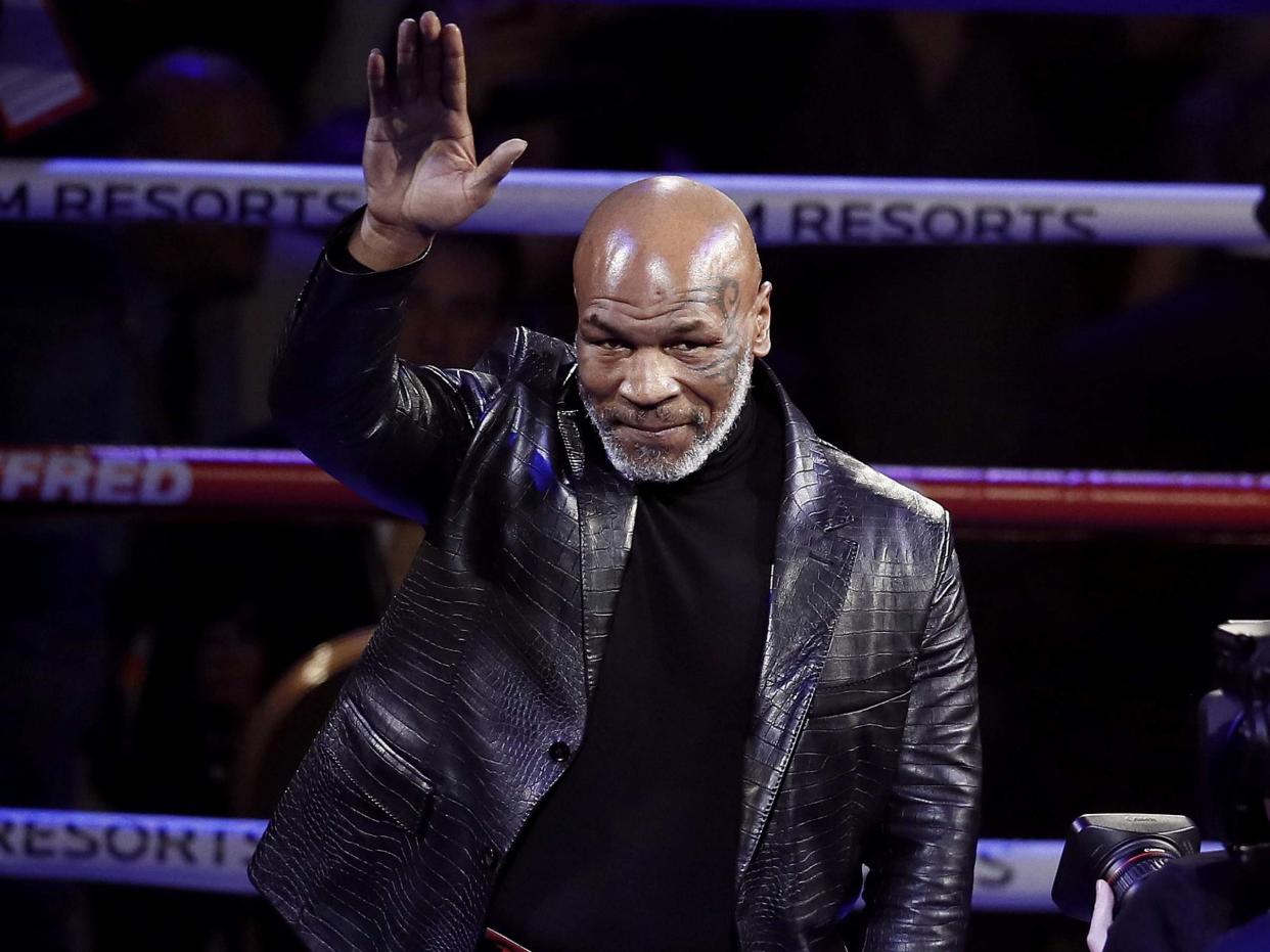 Mike Tyson (pictured) and Roy Jones Jr have been criticised for their plans to return to the ring: EPA