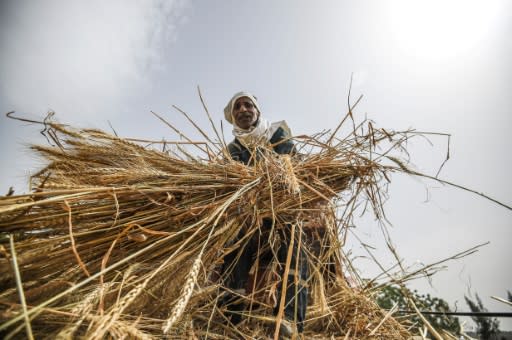 The report is likely to throw up a number of trade offs between food production and climate change mitigation