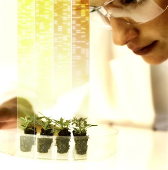 Applications open to Bayer’s new Testing4Ag program designed to help researchers discover sustainable solutions to some of agriculture’s biggest crop protection challenges.