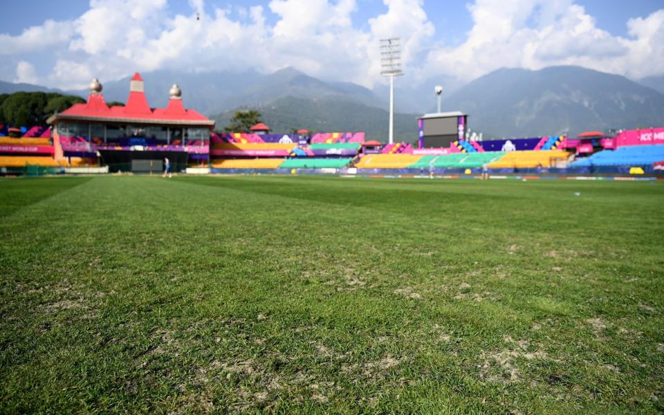 Detail view of the outfield during a nets session at Himachal Pradesh Cricket Association Stadium on October 08, 2023 in Dharamsala, India