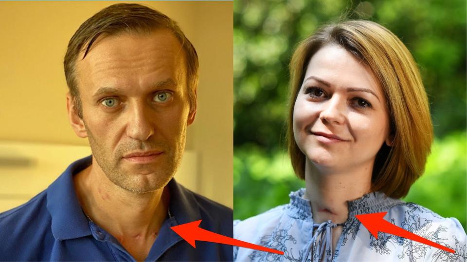 navalny skripal 2x1 skitch