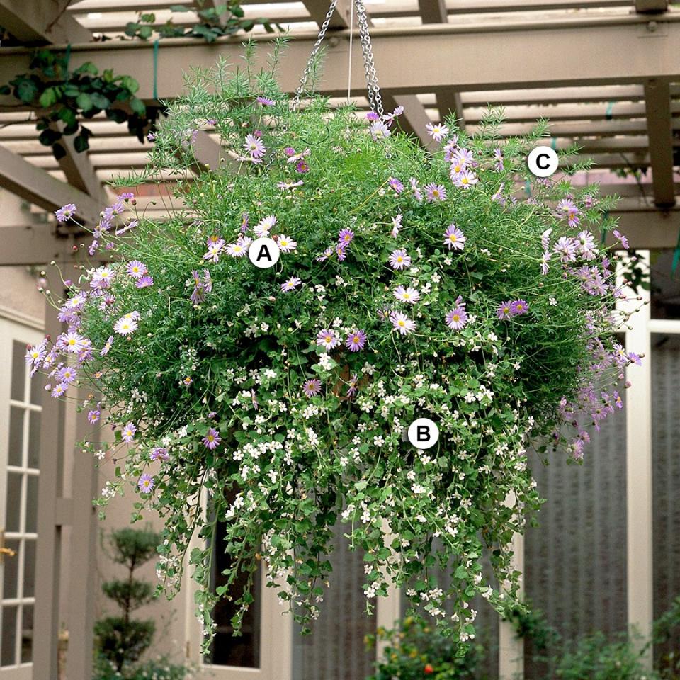 Use these easy plant-by-numbers recipes to put together the most beautiful hanging baskets in your neighborhood.