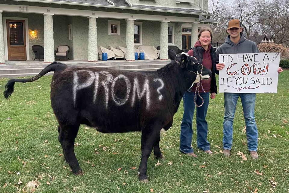 <p>Courtesy of Wyatt Carlson</p> Emma Lihs asks boyfriend Wyatt Carlson to prom using her pet cow