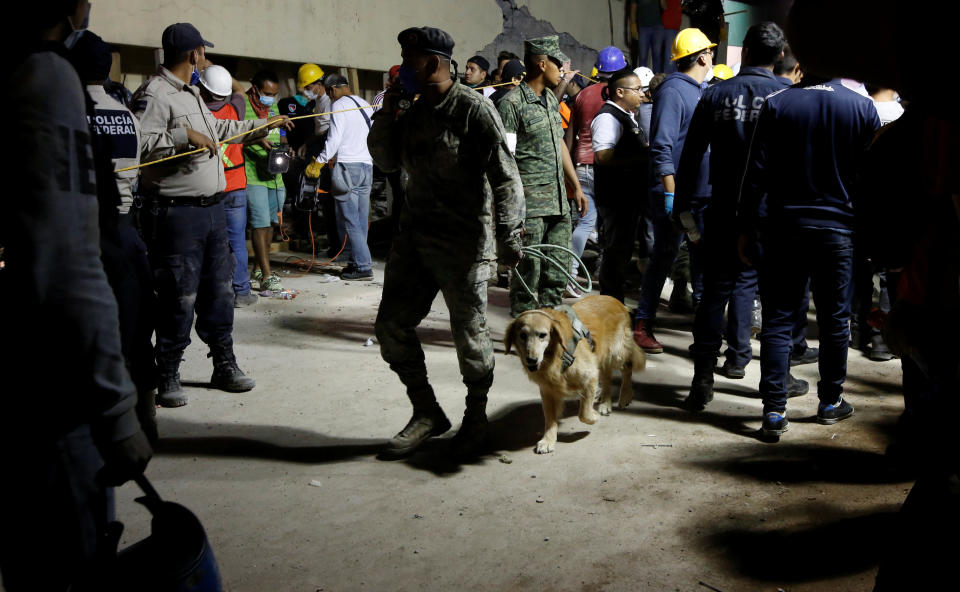 <p>A rescue worker walks with a sniffer dog during a floodlit search for students at Enrique Rebsamen school in Mexico City, Mexico on Sept. 19, 2017. (Photo: Carlos Jasso/Reuters) </p>