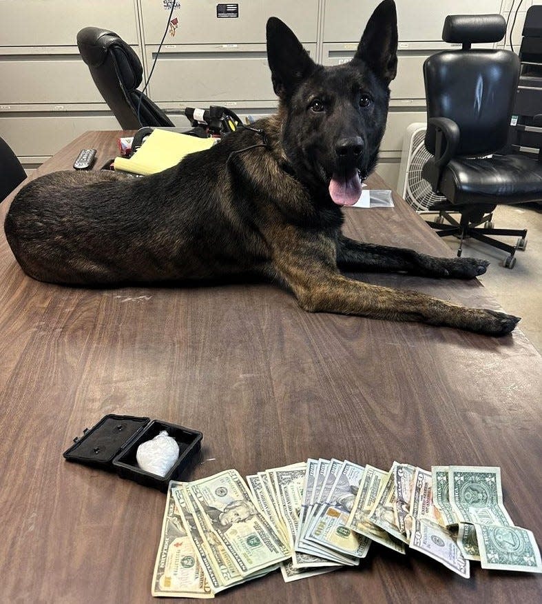 K-9 Officer Rip with cash and suspected narcotics recovered from a traffic stop on Ohio 93 earlier this year.