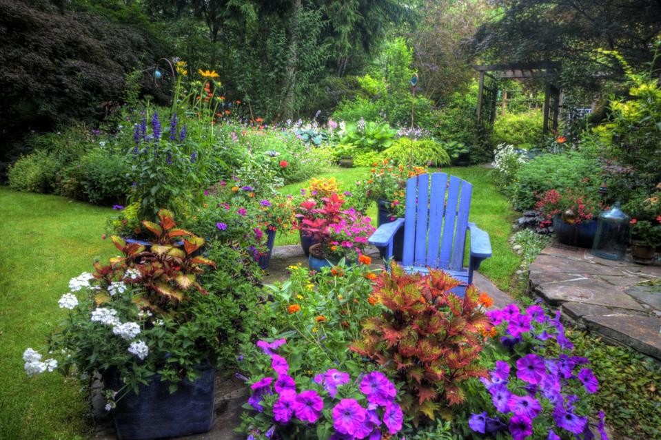 garden and path, blue chair, colors of summer