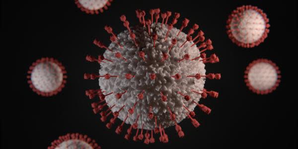 Confirman casos en México de “Perro del Infierno” nueva variante del coronavirus 