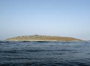 An island that rose from the sea following an earthquake is pictured off Pakistan's Gwadar coastline in the Arabian Sea September 25, 2013. A major earthquake hit a remote part of western Pakistan on Tuesday, killing at least 45 people and prompting the new island to rise from the sea just off the country's southern coast. The earthquake was so powerful that it caused the seabed to rise and create a small, mountain-like island about 600 meters off Pakistan's Gwadar coastline. Television channels showed images of a stretch of rocky terrain rising above the sea level, with a crowd of bewildered people gathering on the shore to witness the rare phenomenon. (REUTERS)