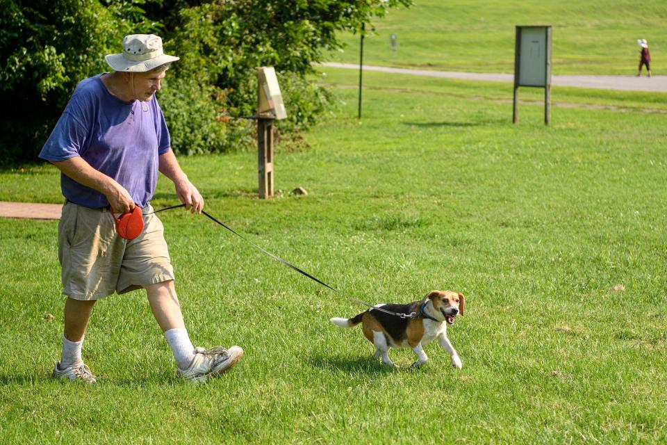 Steve Welte and his 9-year-old dog Gracie walk back to their vehicle after taking a long walk around State Hospital Park in Evansville, Ind., Wednesday morning, Aug. 11, 2021. After about an hour of walking in the summer heat, they were ready to go back home and relax on the couch. 