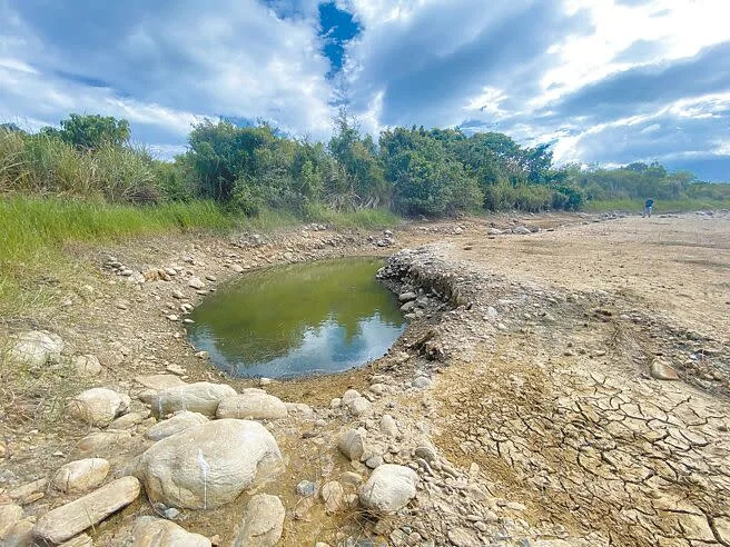 疑花東強震影響，台東縣池上鄉興富溼地乾涸，因水源消失，水池的魚大量死亡。（蔡旻妤攝）