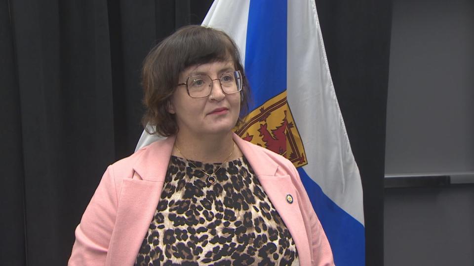 New Democrat MLA Lisa Lachance says the government must assess the program to ensure it is effective.