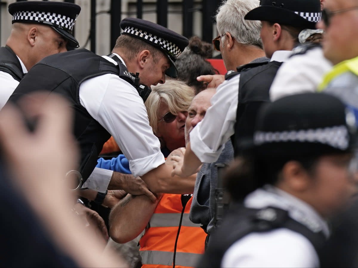 Police officers restrain an anti-Ulez protester outside Downing Street (PA)