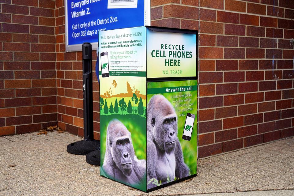 DezTanie Stover, Detroit Zoological Society intern, shows how to recycle an old cellphone at the bins for them, through April 30, 2022, at the Detroit Zoo for the Gorillas on the Line Ð Answer the Call campaign, which runs through April 30.