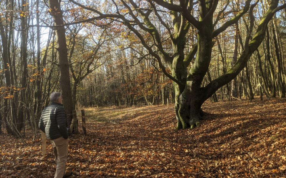 Michaael Brown, Campaign to Protect Rural England