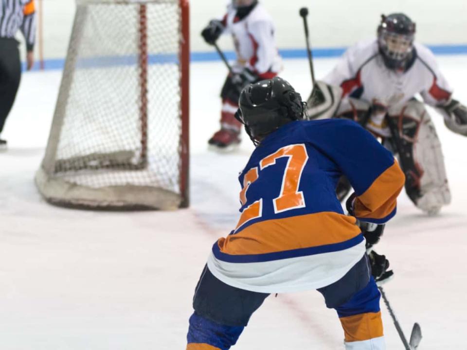 Premier Blaine Higgs cited women's hockey as a sport where trans players could cause possible unfairness. Hockey New Brunswick says when it comes to youth hockey, unfairness is not an issue. (Click Images/Shutterstock - image credit)