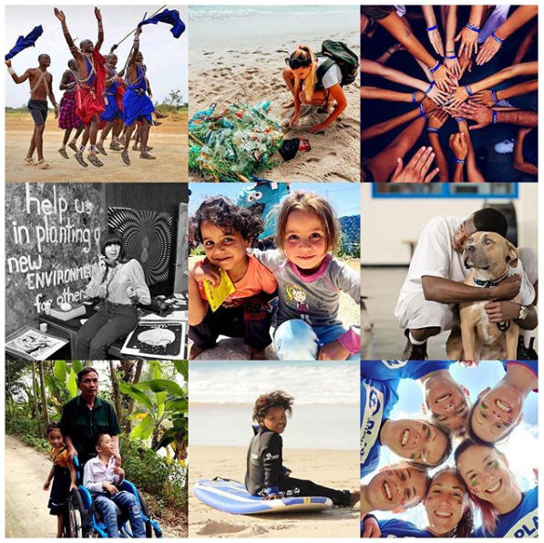 A collage of the 15 charitable accounts Prince Harry and Meghan Markle are following on Instagram.