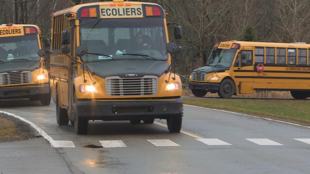 Data collected by Statistics Canada using the 2021 census shows that just 20 per cent of francophone students in P.E.I. live closer to a French-language school than an English-language one, while 46 per cent of students eligible to receive education in French have never been enrolled in a French school. (Brian Higgins/CBC - image credit)