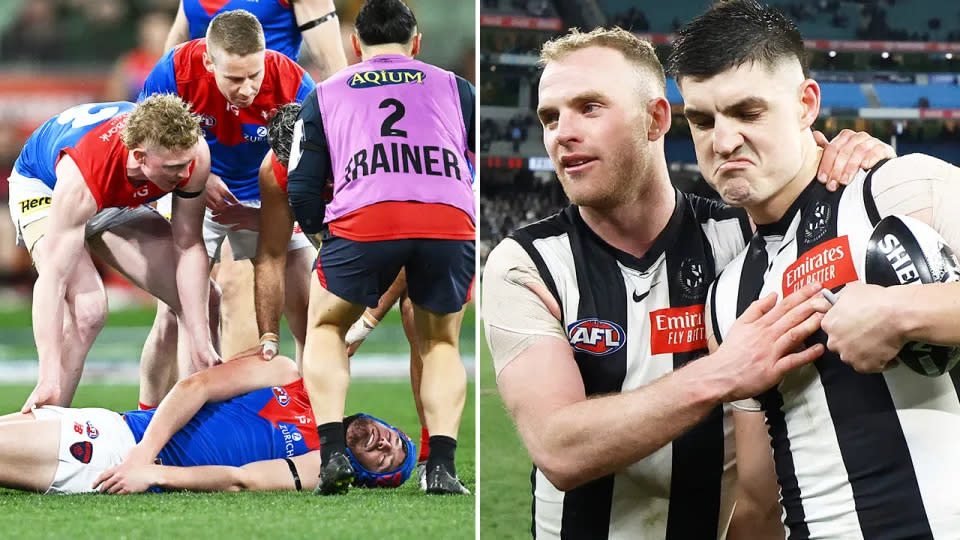 Brayden Maynard knocked out Angus Brayshaw in Collingwood's AFL qualifying final win over Melbourne. Image: Getty
