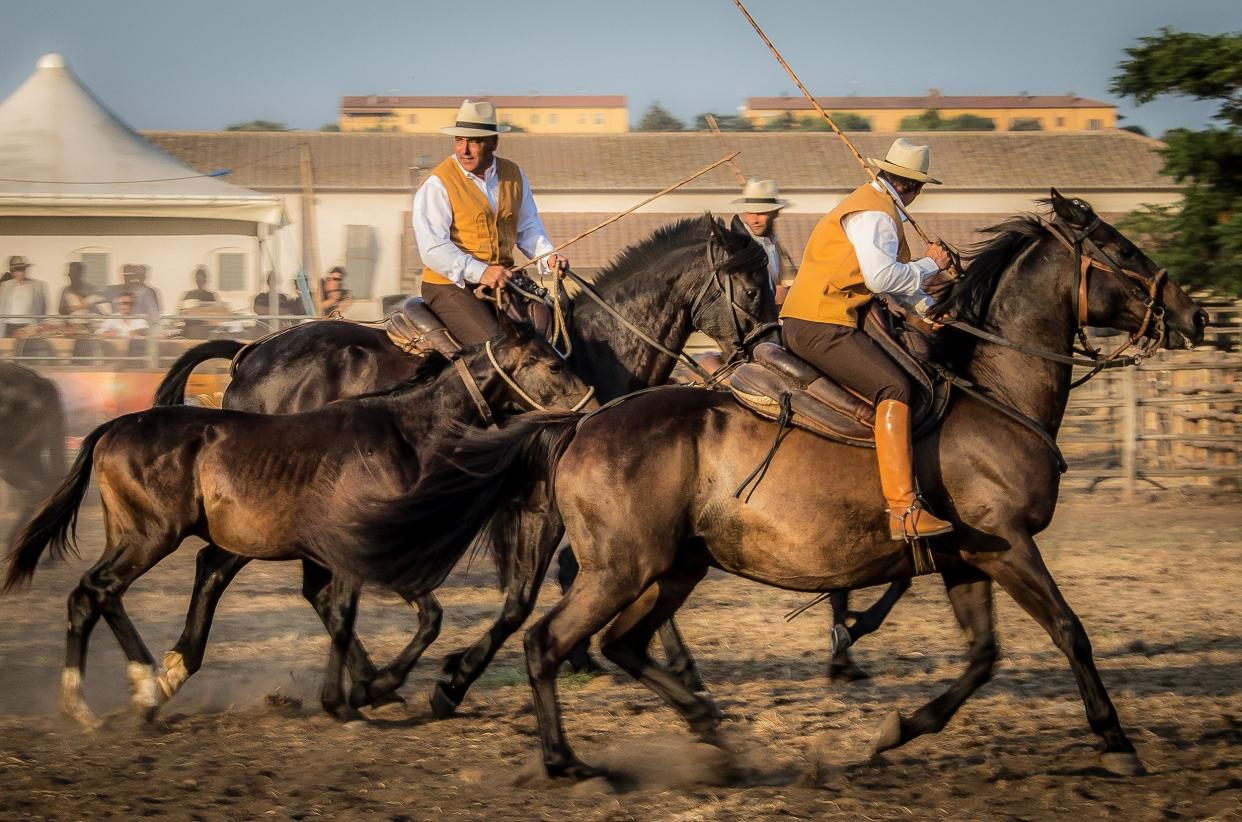 Gabrielle Saveri's photograph "Performance at the 1st National Raduno (Butteri Rally)" is included in the exhibit "Italy’s Legendary Cowboys of the Maremma," on view through May 7, 2024, at the National Cowboy & Western Heritage Museum in Oklahoma City.
