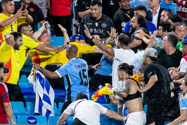 <p>Nick Tre. Smith/Icon Sportswire via Getty</p> The fight in the stands after the CONMEBOL Copa America semifinal on Wednesday