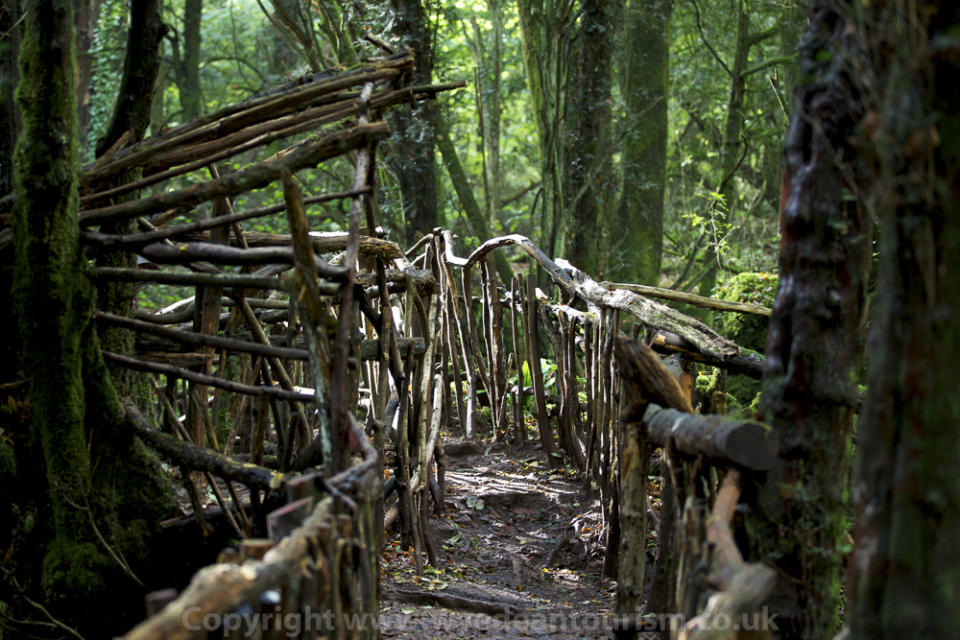 One of the wooden bridges at Puzzlewood in Forest of Dean & Wye Valley