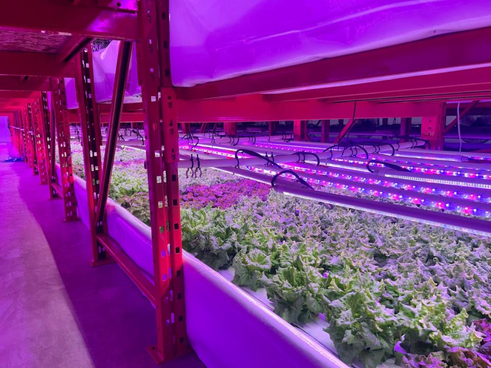 Sunden Farms developed its lights to tailor wave lengths to the individual plants, which Howe said reduces the facility's energy consumption by over 75 per cent. The farm also exchanges air by pulling in carbon from the outdoors that is stored in the plants themselves. Factor in that the farm recycles its water, and Howe said Sunden is approaching carbon neutrality, with an ultimate goal of reaching carbon negative status. 