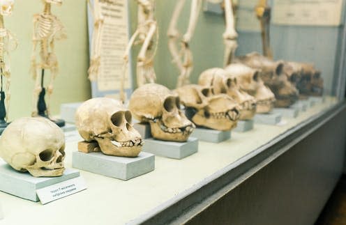 <span class="caption">Where's next for Homo Sapiens?</span> <span class="attribution"><a class="link " href="https://www.shutterstock.com/image-photo/kyiv-ukraine-june-16-2018-national-1120827521" rel="nofollow noopener" target="_blank" data-ylk="slk:Shutterstock;elm:context_link;itc:0;sec:content-canvas">Shutterstock</a></span>