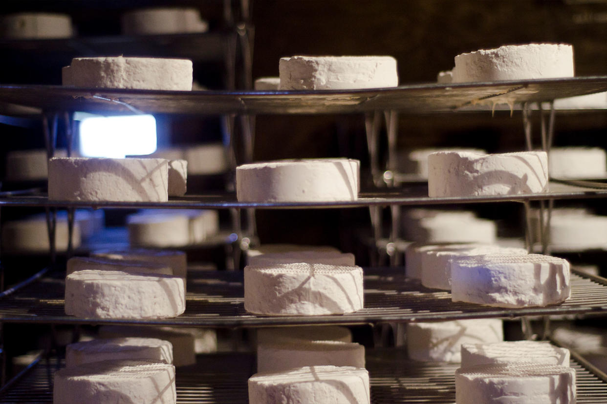 Wheels of cheese on a wire rack Getty Images/Naomi Rahim