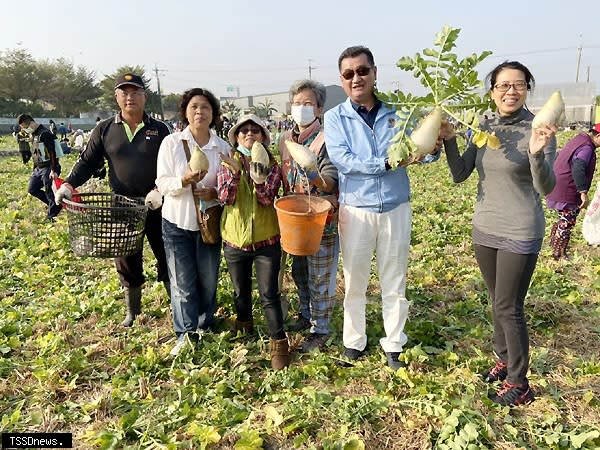 草屯鎮長簡景賢（右二）與民眾拔蘿蔔同樂。（記者蔡榮宗攝）