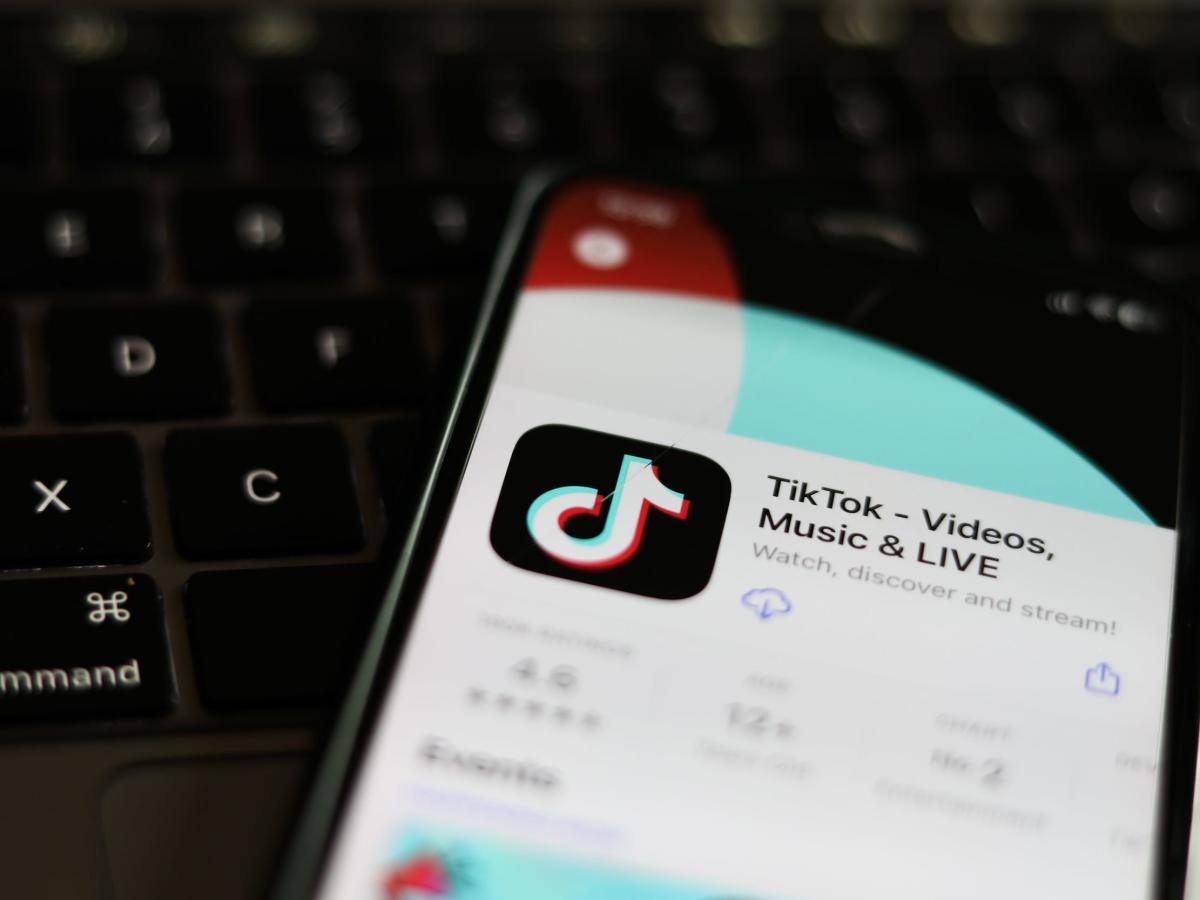 Ubiquitous 'professional TikTok watching' job pays $50 an hour