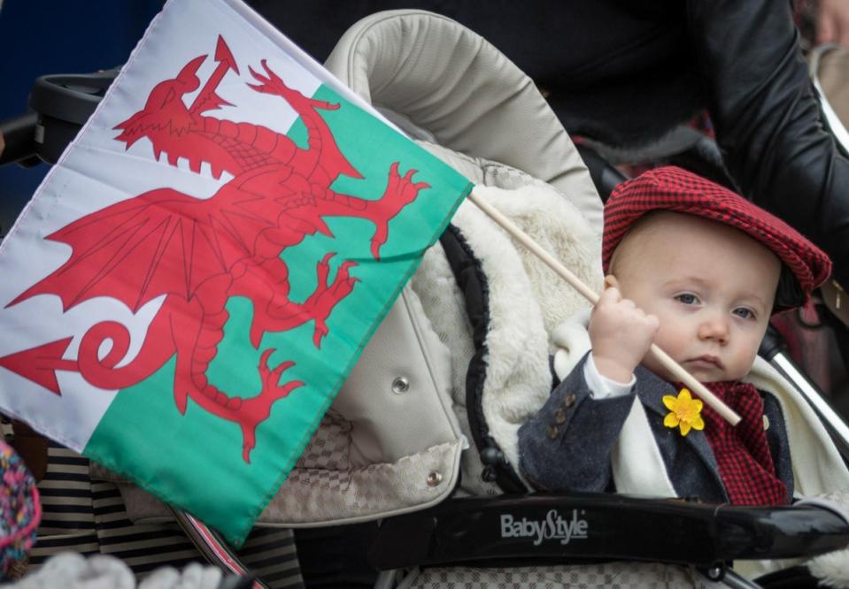 Welsh flags are to the fore on the patriotic day