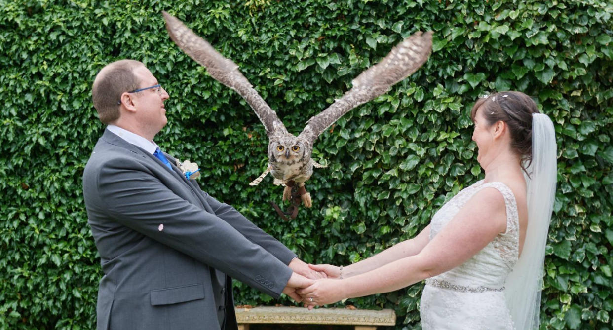 In true Harry Potter style, they arranged for two owls to fly into the grounds of the registry office. (Supplied)