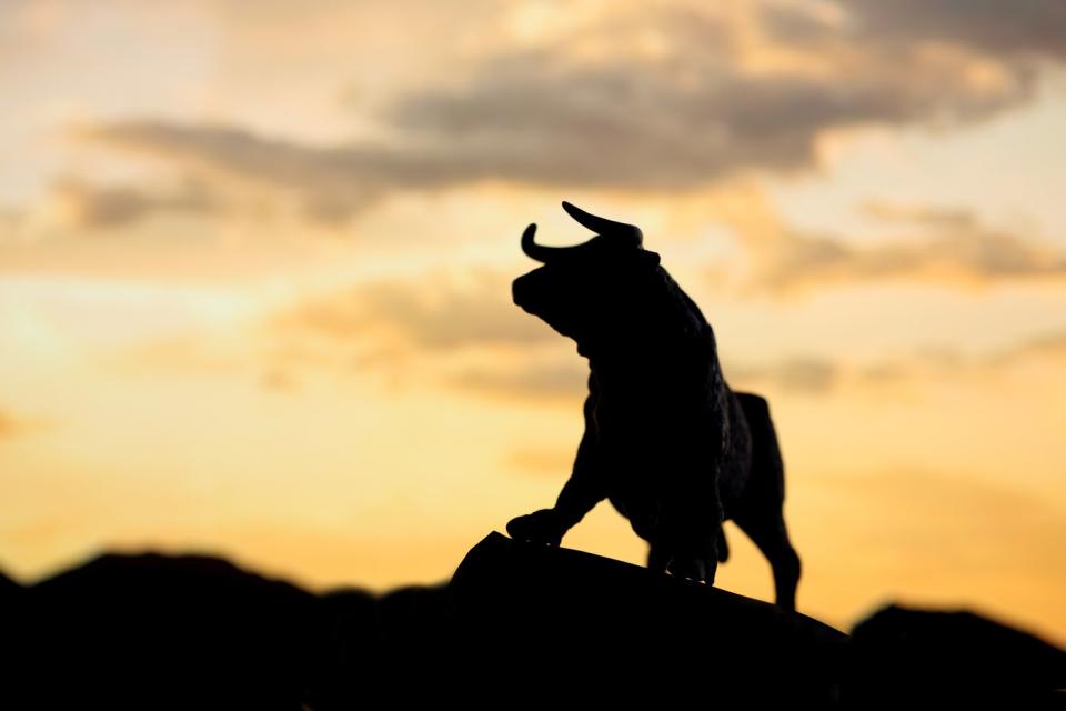 A bull standing on a mountain.