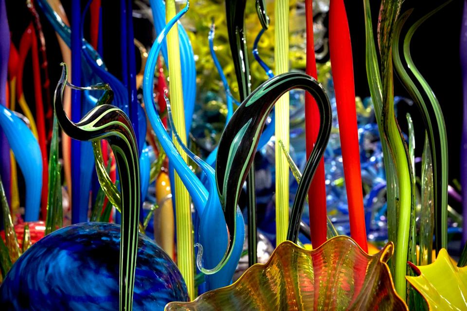 Biltmore Estate is hosting an exhibit by Dale Chihuly, Chihuly at Biltmore, starting March 25, 2024.