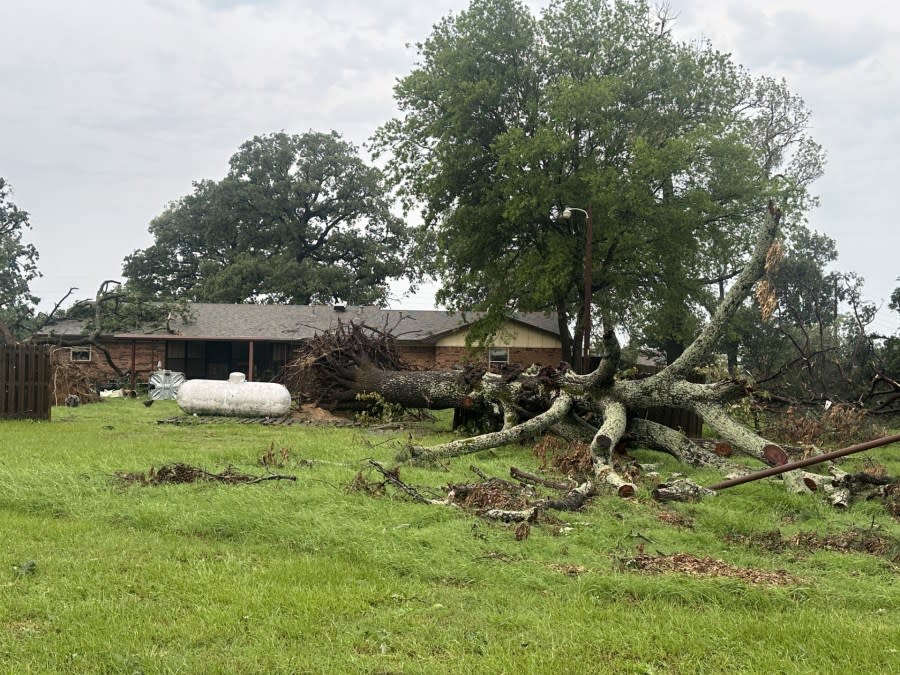 Storm damage in Coffee City